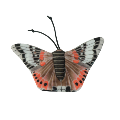 Foto van Wild Life Cat Red Admiral Butterfly (Admiraalvlinder)