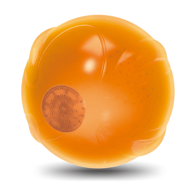 Foto van AFP Zen Pet-Anti Anxiety Speaking ball