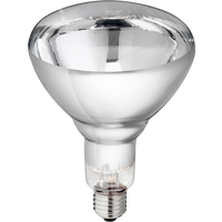 Lamp 150w wit Hard Glas Philips