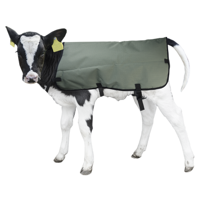 Foto van Kalverdek Calf Coat 80 cm
