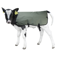 Kalverdek Calf Coat 80 cm