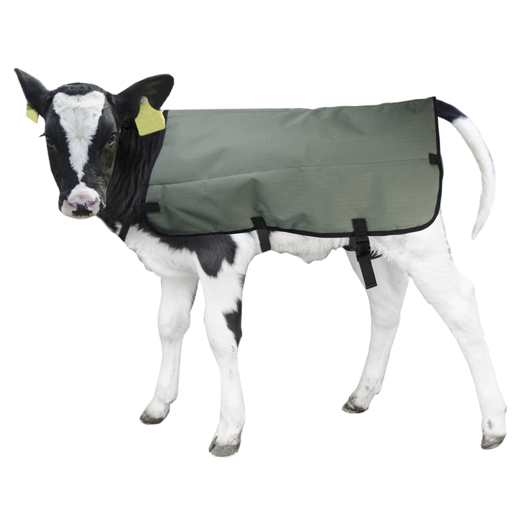Foto van Kalverdek Calf Coat 80 cm