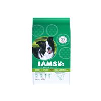 Iams Dog adult kip small/medium