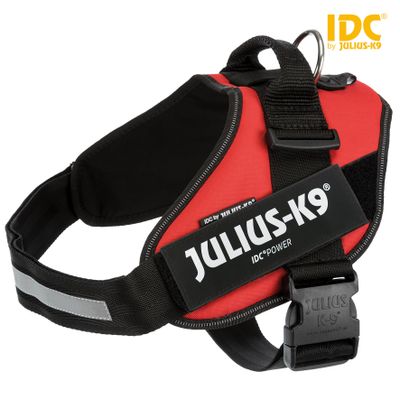 Julius IDC® Powertuig Foto van Julius IDC® Powertuig