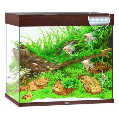Foto van Juwel Aquarium Lido 200 LED