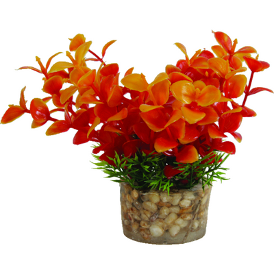 Zolux Kunstplanten op grind Foto van Zolux Kunstplanten op grind