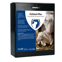 Colstart Plus 10 x 25 g