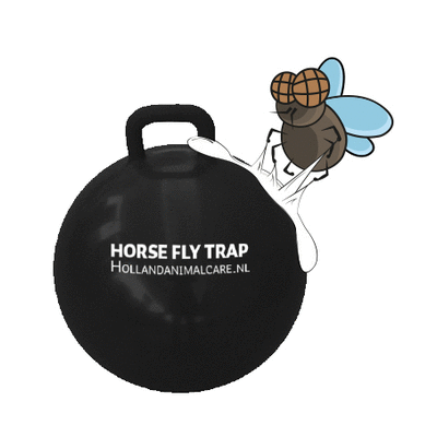 Horse Fly Trap Ball Foto van Horse Fly Trap Ball