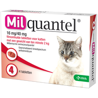 Milquantel 16 mg/40 mg Kat Groot 4 tabl. en groter dan 2kg