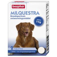 Beaphar Milquestra hond