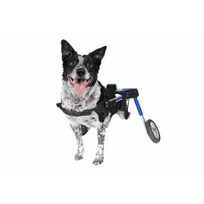 Foto van Rolstoel Dog Medium/Large Blauw 12-08. Foam. 12-31 kg