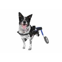 Rolstoel Dog Medium/Large Blauw 12-08. Foam. 12-31 kg