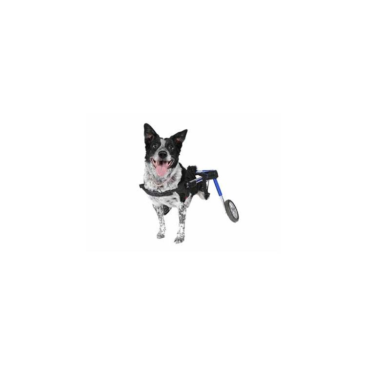 Foto van Rolstoel Dog Medium/Large Blauw 12-08. Foam. 12-31 kg