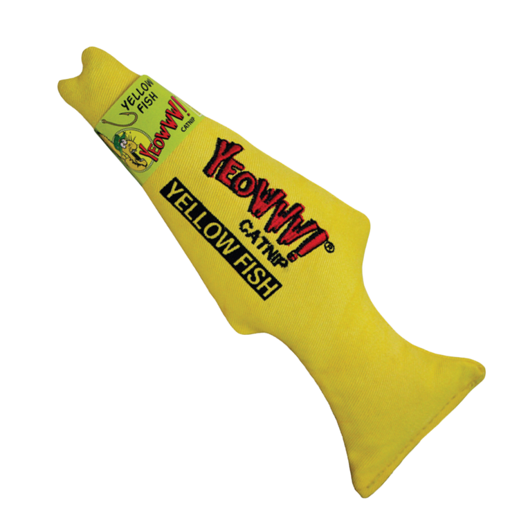 Foto van Yeowww Yellow Fish