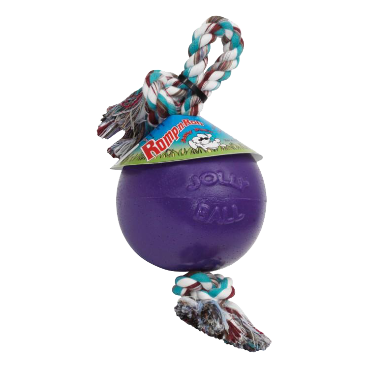 Foto van Jolly Ball Romp-n-Roll 20 cm Paars