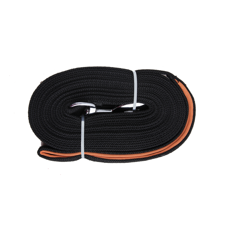 Foto van Pawise Flat Leash 10 meter