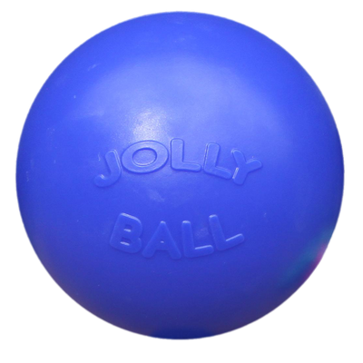 Foto van Jolly Ball Push-n-Play 25cm blauw