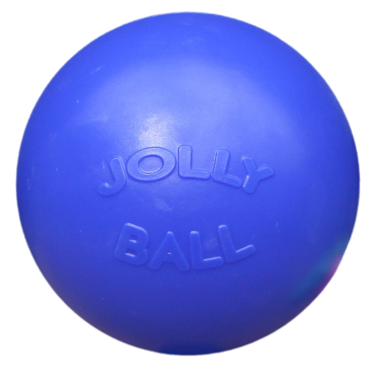 Foto van Jolly Ball Push-n-Play 25cm blauw