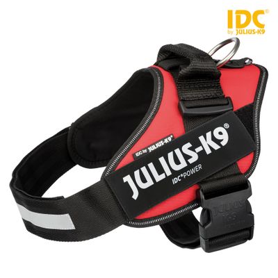 Julius IDC® Powertuig Foto van Julius IDC® Powertuig