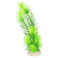 Aqua Della Decor plant hornwort