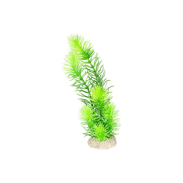 Foto van Aqua Della Decor plant hornwort