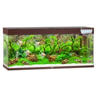 Juwel Aquarium Rio 240 LED
