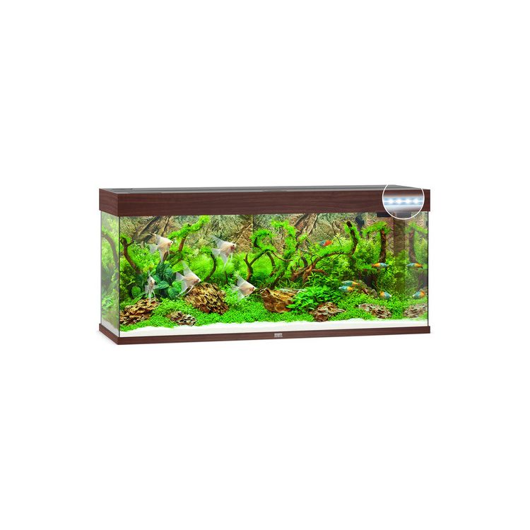 Foto van Juwel Aquarium Rio 240 LED