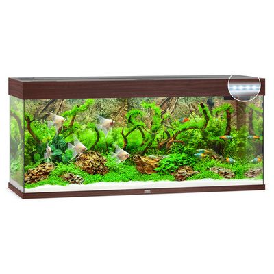 Juwel Aquarium Rio 240 LED Foto van Juwel Aquarium Rio 240 LED