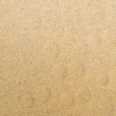 Foto van Elja Chinchilla badzand