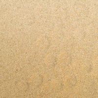 Elja Chinchilla badzand