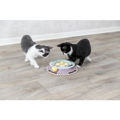 Trixie Junior Kitten Circle - 2 stuks Foto van Trixie Junior Kitten Circle - 2 stuks