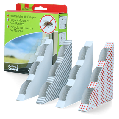 Foto van Raamvliegenval