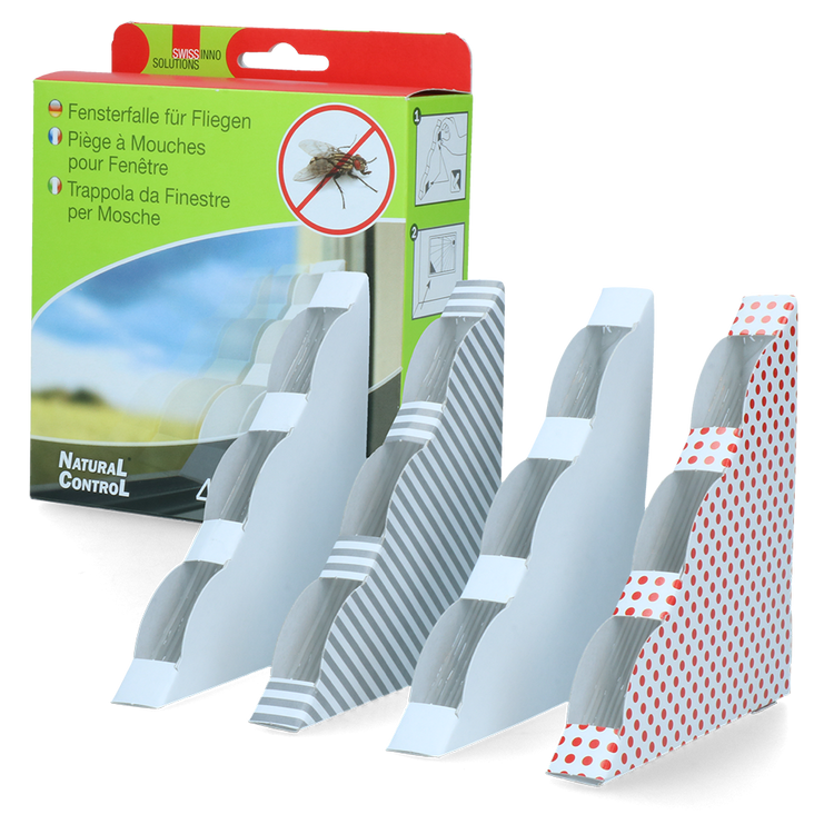 Foto van Raamvliegenval