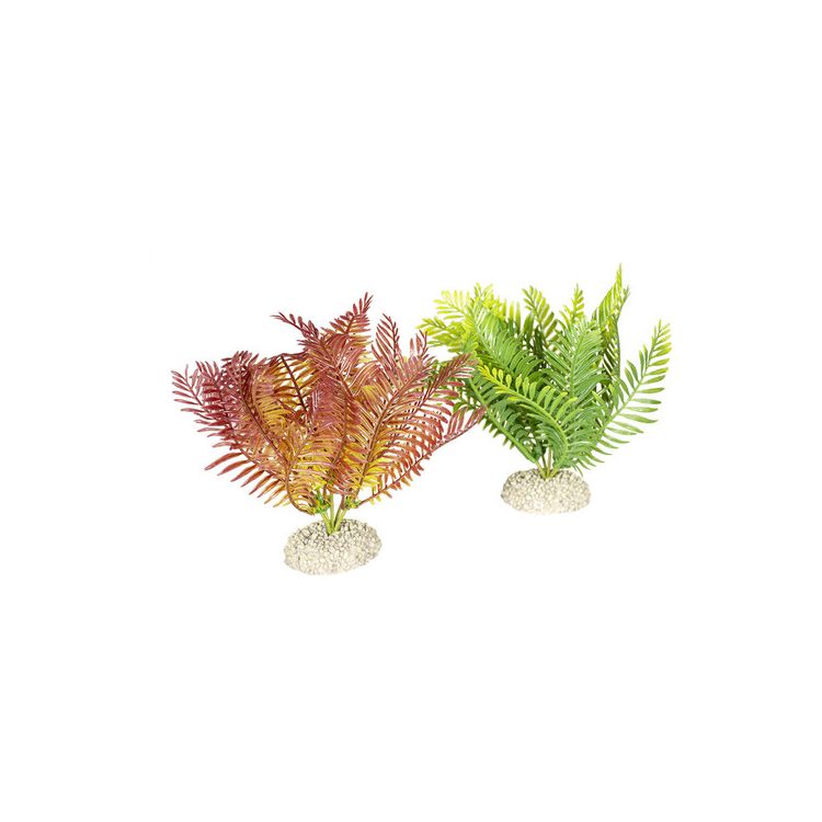 Foto van Aqua Della Decor planten