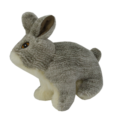 Foto van Wild Life Dog Rabbit (Konijn)