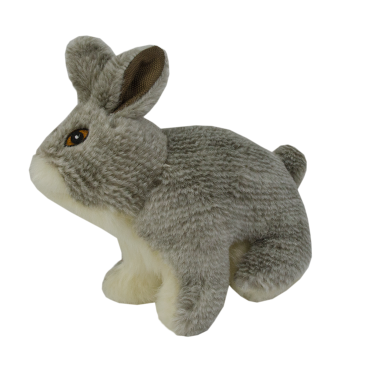 Foto van Wild Life Dog Rabbit (Konijn)