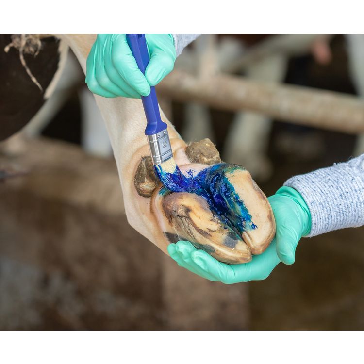 Foto van Easy Hoof Gel