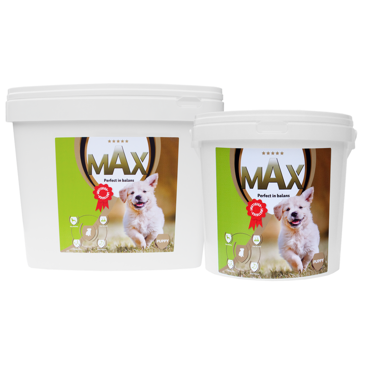 Foto van Max Puppy