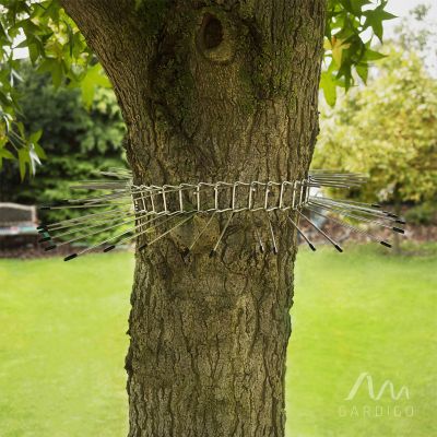 Boomgordel tegen katten Gardigo Foto van Boomgordel tegen katten Gardigo