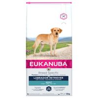 Eukanuba Labrador