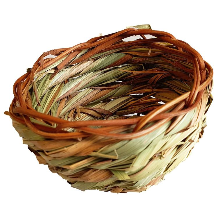 Foto van Adori Gras nest