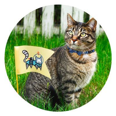 Foto van Cat collar met Bowknot rood