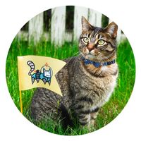 Cat collar met Bowknot rood