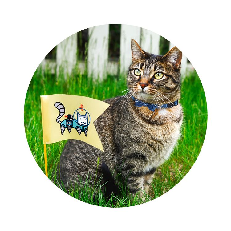 Foto van Cat collar met Bowknot rood