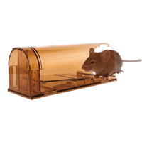 Knock Off Muizenval Levend