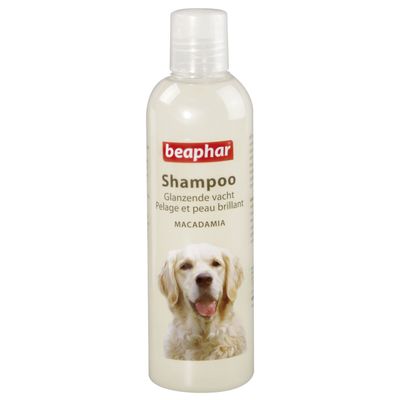 Foto van Beaphar Shampoo glanzende vacht hond