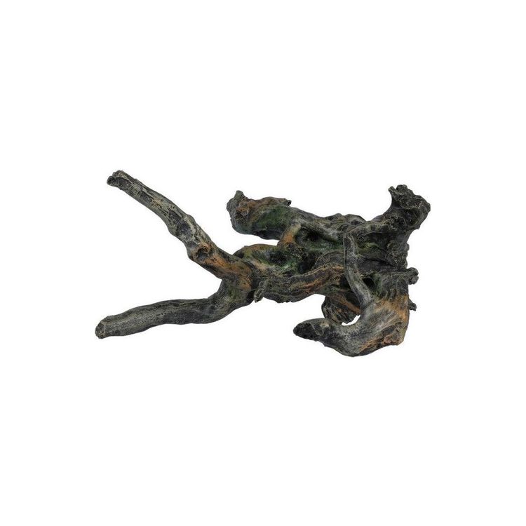 Foto van Aqua Della Oude tak