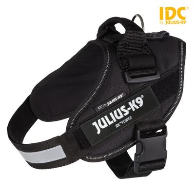 Foto van Julius IDC® Powertuig