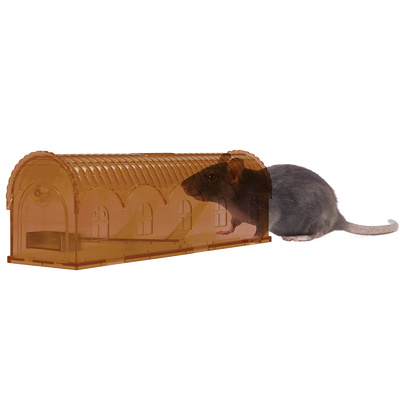 Foto van Knock Off Rattenval Levend