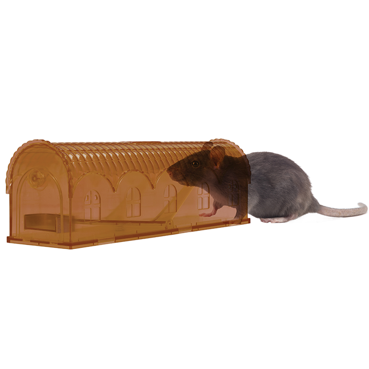 Foto van Knock Off Rattenval Levend